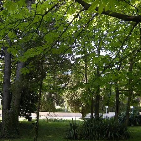 Park Persey